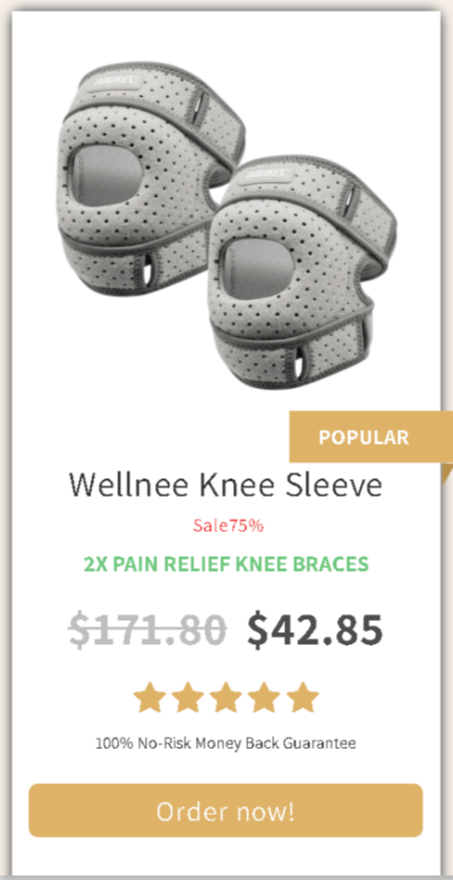 Wellknee Knee Brace offer price 